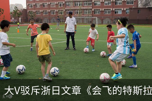 大V驳斥浙日文章《会飞的特斯拉敲打中国企业》浮夸装腔作势！网友：好好一个车，你翻滚它干什么玩意？